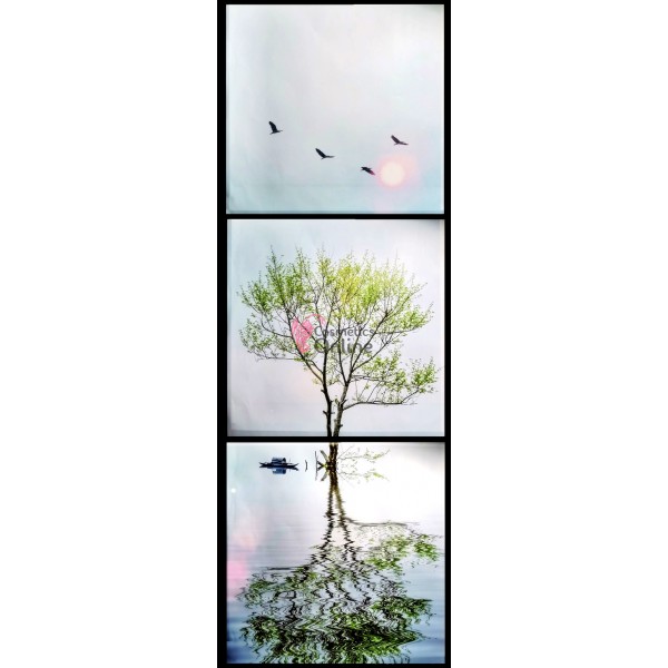 Tablou / Poster pentru decor salon  3D din vinil Cod  TPA083 XXL (3 bucati)